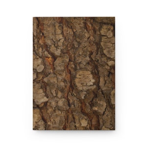 May include: Close-up of a tree trunk with brown bark and a textured surface. The bark has a rough, uneven texture with deep grooves and ridges.