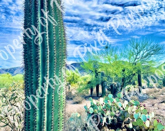 Cielo de Arizona con Saguaro