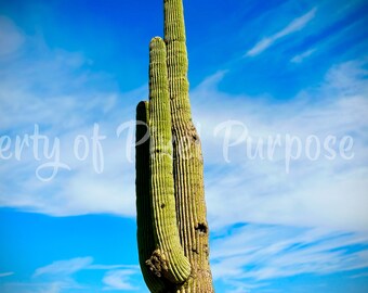 Cielo de Arizona con Saguaro