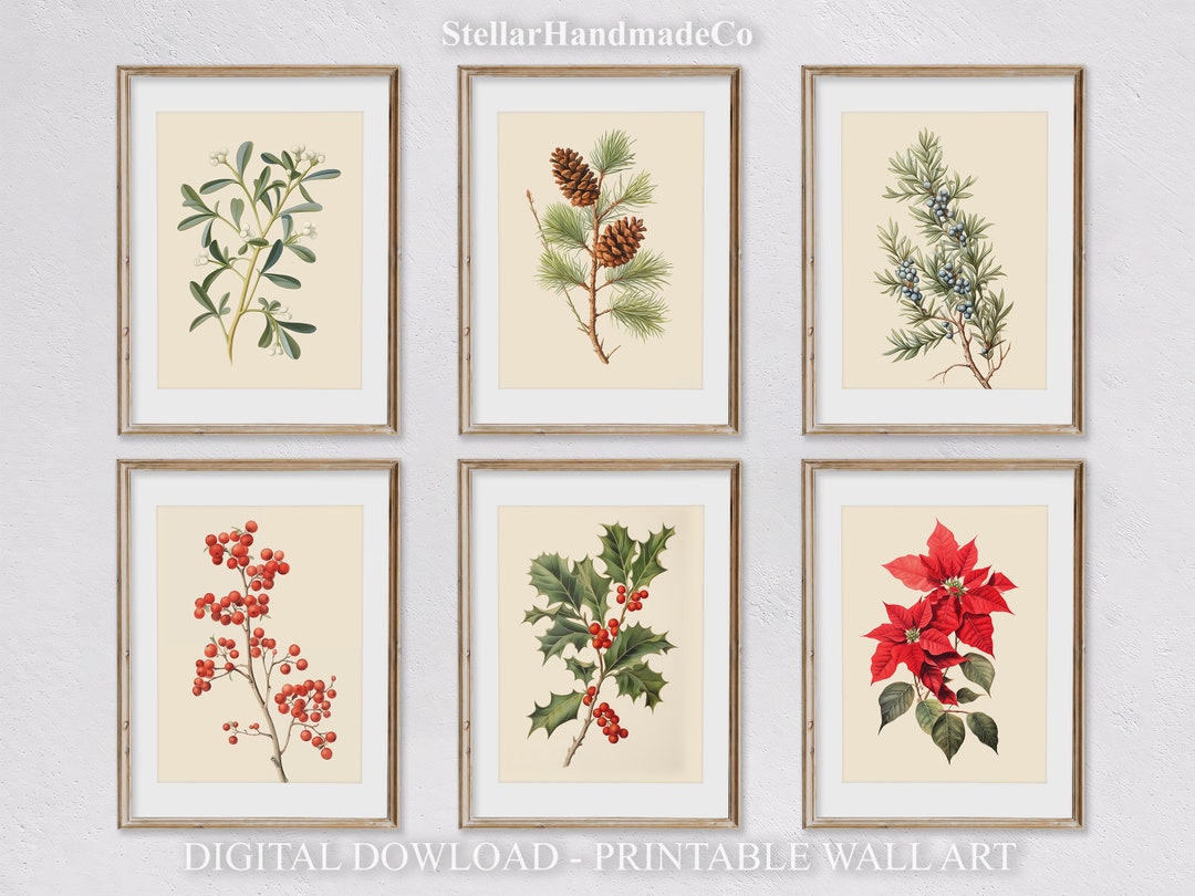 Winter Botanical Prints, Christmas Plant Art Gallery Wall Set of 6 ...