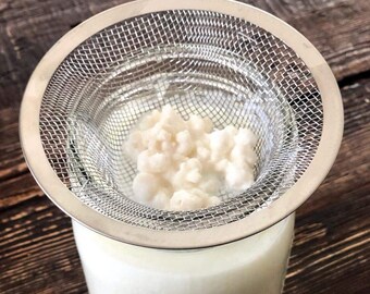 Milk Kefir Grains | Organic Milk | 1 Teaspoon | with PDF Guide on Making Keifr