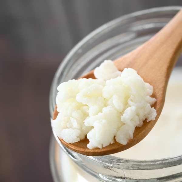 Organic Grass Fed Milk Kefir Grains (1 Teaspoon) with PDF Quickstart Guide