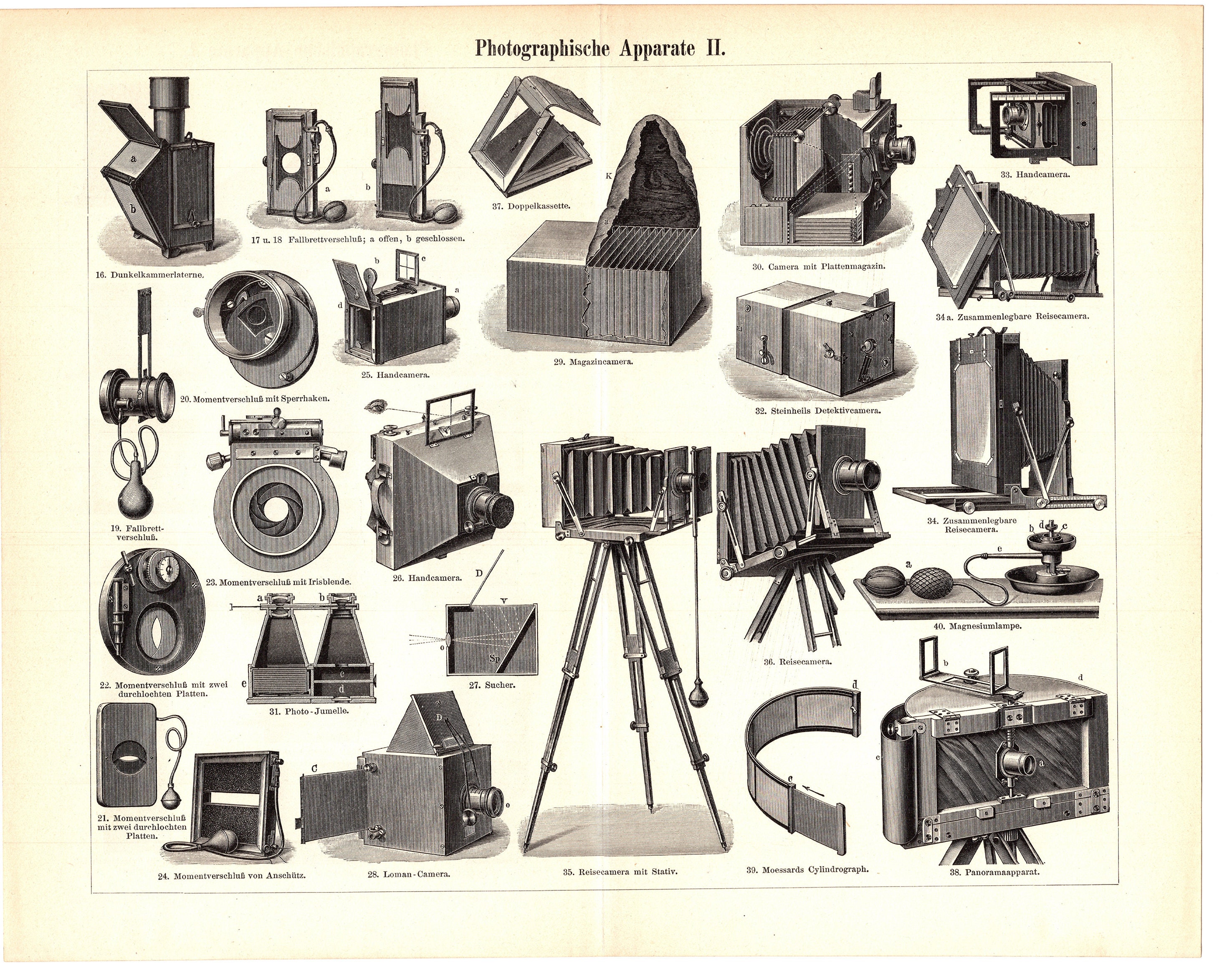 Original 1894 Antique Colour Lithography Print of the Photographic ...