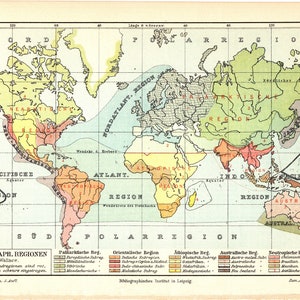 May include: A vintage world map with regions highlighted in various colors, including yellow, orange, green, and red. The map features text in German, labeling regions and oceans. The map is a detailed illustration of zoogeographical regions.