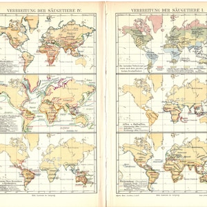 Impression lithographique couleur antique originale de 1897 d'une carte historique qui représente avec élégance la répartition mondiale des mammifères à travers le monde