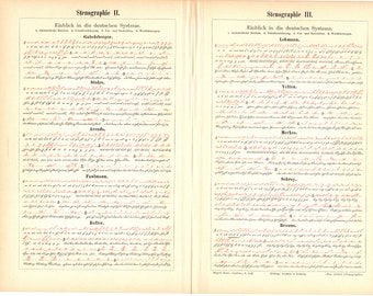 Original 1897 Impresión de litografía antigua del uso de estenografía - escritura taquigráfica brevedad simbólica a mano común braquigráfica griega común
