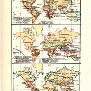 Original 1897 Antiker Lithographiedruck einer Karte der Zugroute von Vögeln um die Welt Tierwelt Natur Feder Flügel