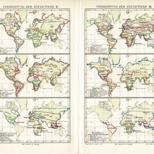 Carte, impression lithographie couleur ancienne originale de 1897 de la répartition historique des mammifères sur terre, répartition historique de la migration de la faune sur terre