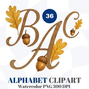 May include: Watercolor alphabet clipart featuring the letters B, A, and C in a brown, cursive font. Each letter is adorned with a yellow oak leaf and a brown acorn. A blue circle with the number 36 is in the center. The text "ALPHABET CLIPART" is at the bottom.