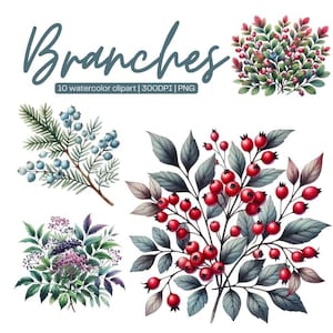 Imágenes prediseñadas de rama de árbol, acuarela, rama de árbol, imágenes prediseñadas de boda, arte verde, imágenes prediseñadas de rama de árbol mixta, acuarela PNG, descarga digital, Scrapbooking