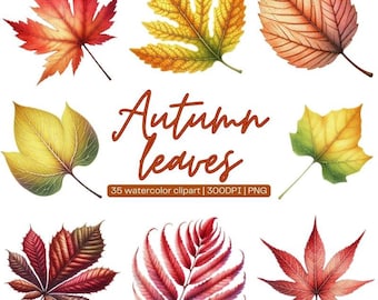 Watercolor Autumn Leaves Clipart: 35 Fall PNG Graphics (Digital Download)