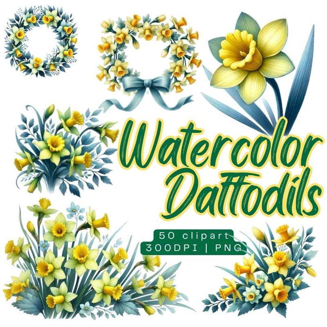 Watercolor Daffodil Clipart PNG Set for Spring Floral Designs ...
