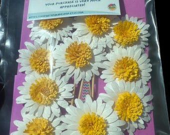 Daisy Flower Cupcake Toppers | Spring Party Decorations, Cardstock Picks