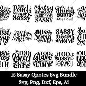 Sassy SVG Bundle, Sassy Quotes SVG, Funny Quotes Svg Bundle, Sassy Sayings Svg, Sarcastic Bundle svg, Sarcastic Cut File, eps, Cricut File