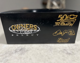 Modellino da collezione NASCAR in scala 1:24 di Dale Earnhardt Jr.