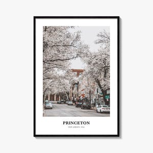 Princeton Print, Princeton Photo Poster, Princeton Travel Wall Art, Princeton Map Print, Princeton Photography Print, New Jersey, USA