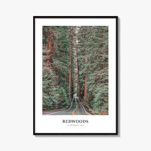 Sequoia print, sequoia's fotoposter, sequoia's reizen muurkunst, sequoia's kaart print, sequoia's fotografie print, Californië, VS