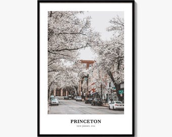 Princeton Print, Colorful Photo Poster, Travel Wall Art, Home Decor