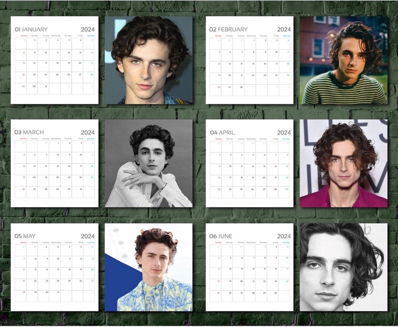 Timothée Chalamet Calendar 2024 timothée Chalamet 2024 - Etsy Australia