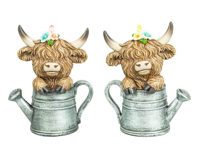 Highland Cow in Watering Can Figurines - Rustic Farmhouse Decor - Set of 2