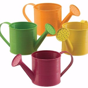 Spring Summer Dark Color Watering Can Planter