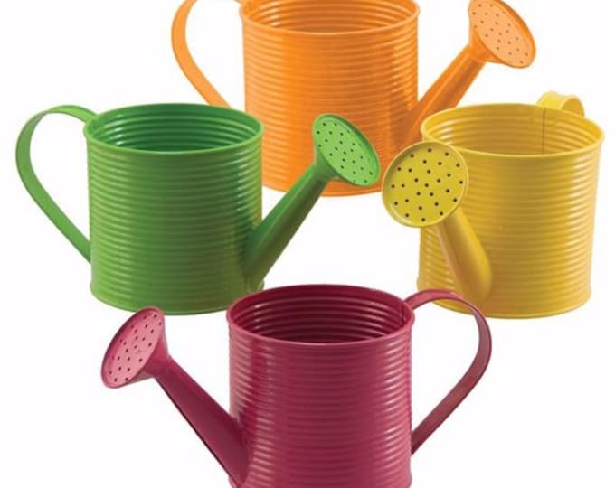 Spring Summer Dark Color Watering Can Planter w/ PVC Liner Set of 2