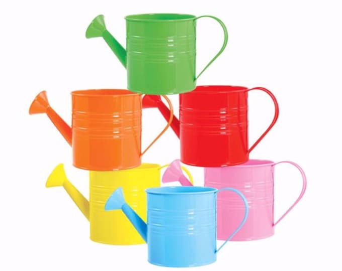Tin Summer–Colored Watering Can Planter Container - Assorted Colors - Set of 2