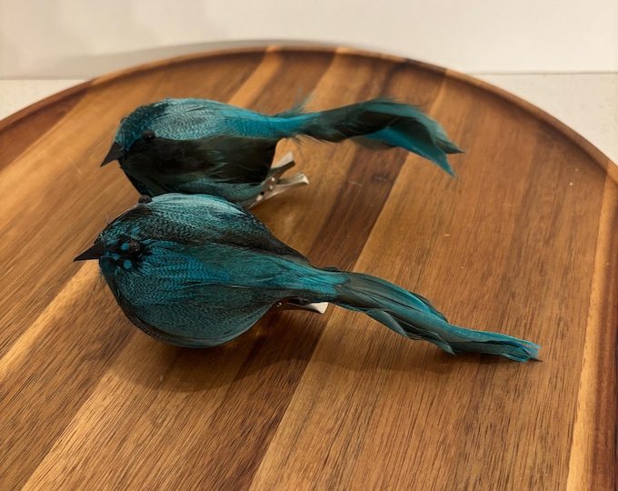 Blue and Teal Feather Birds with Floral Clip - Set of 2