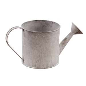 May include: A small, galvanized metal watering can with a curved handle and a spout. The watering can is a muted gray color and has a rustic, weathered appearance. The handle is attached to the side of the can, and the spout extends from the top.