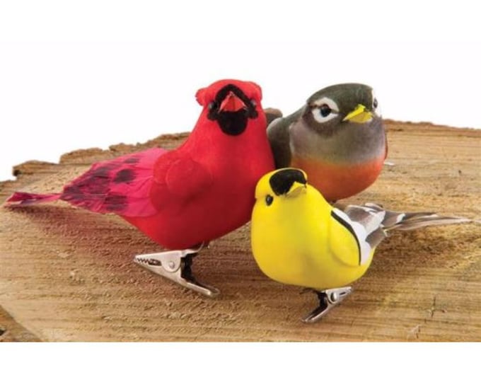 Robin, Finch, Cardinal Bird Floral Clips - Set of 3 or 6
