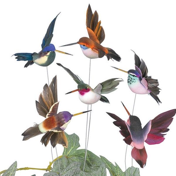 Hummingbird Gifts - 60+ Gift Ideas for 2026