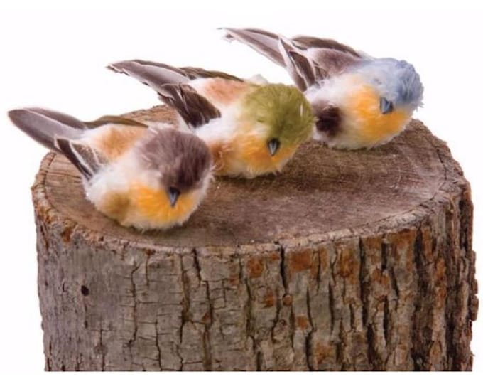 Assorted Color Fluffy Feathers Birds Floral Clips - Set of 6