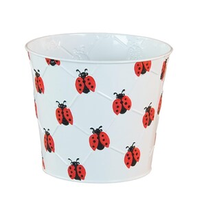 May include: White metal planter with a lattice pattern and red ladybug designs. The planter has a slightly flared shape and is suitable for indoor or outdoor use. The ladybugs have black bodies and red wings with black spots.