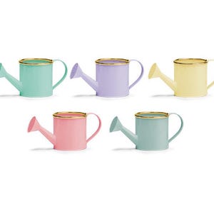 Puede incluir: Cinco regaderas pastel, verde menta, lavanda, amarillo, rosa y verde mar, con bordes dorados. Cada regadera tiene un pico y un asa, ideales para plantas pequeñas o decoración.