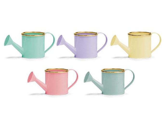 Spring Tin Watering Can Planter Container with Gold Rims – Set of 2
