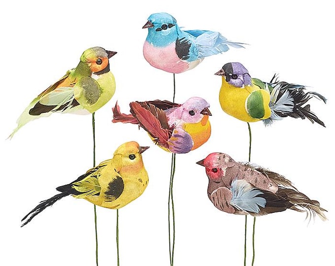 Spring Summer Natural Birds Floral Picks - Set of 6