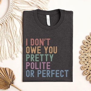 Retro Feminist Shirt, Women&#39;s Rights Tee, Equal Rights T-shirt, Feminist Aesthetic I Don&#39;t Owe You Tshirt, Reproductive Rights Gift for Her