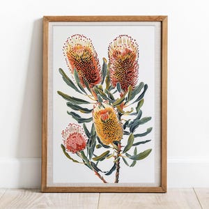 Australian Banksia Bush Treasures, DIGITAL Art Print, Native Flowers Banksia, Botanical Wall Art, Floral Print, Australian Native Printable