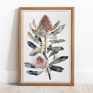 Australian Banksia Wildflower Whispers, DIGITAL Art Print, Native Flowers Banksia, Botanical Wall Art, Australian Native Flower Printable