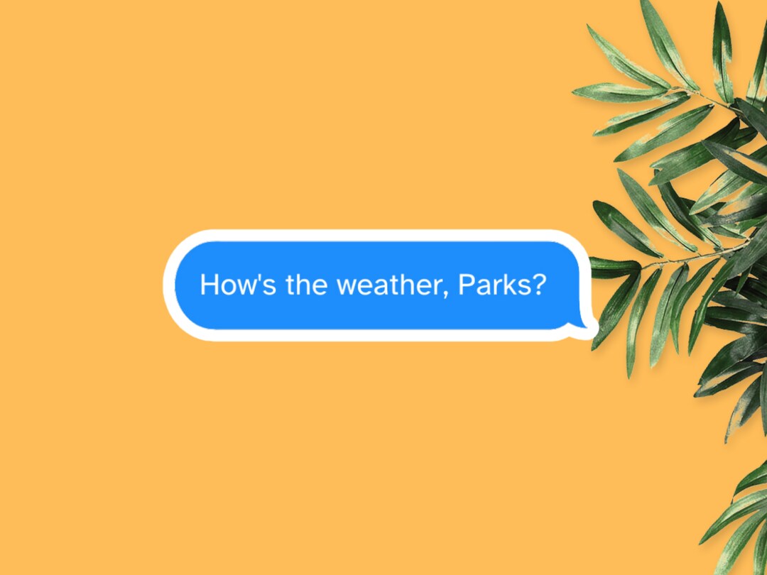 How s the weather parks magnolia parks sticker magnolia parks book