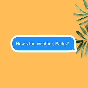How&#39;s The Weather Parks, Magnolia Parks Sticker, Magnolia Parks Book Sticker, Bookish Sticker, Reader Gift, Book Lover Sticker, Book Gift