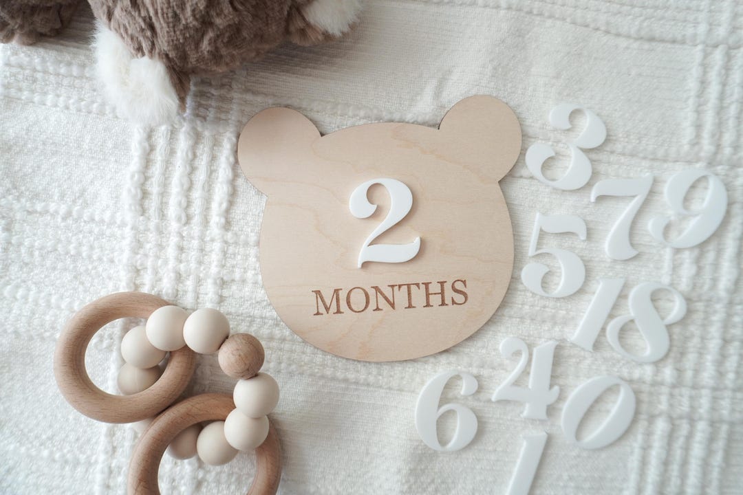 Teddy Bear Monthly Milestone Set, Baby Photo Prop, Vintage Nursery ...
