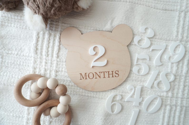 Teddy Bear Monthly Milestone Set, Baby Photo Prop, Vintage Nursery ...