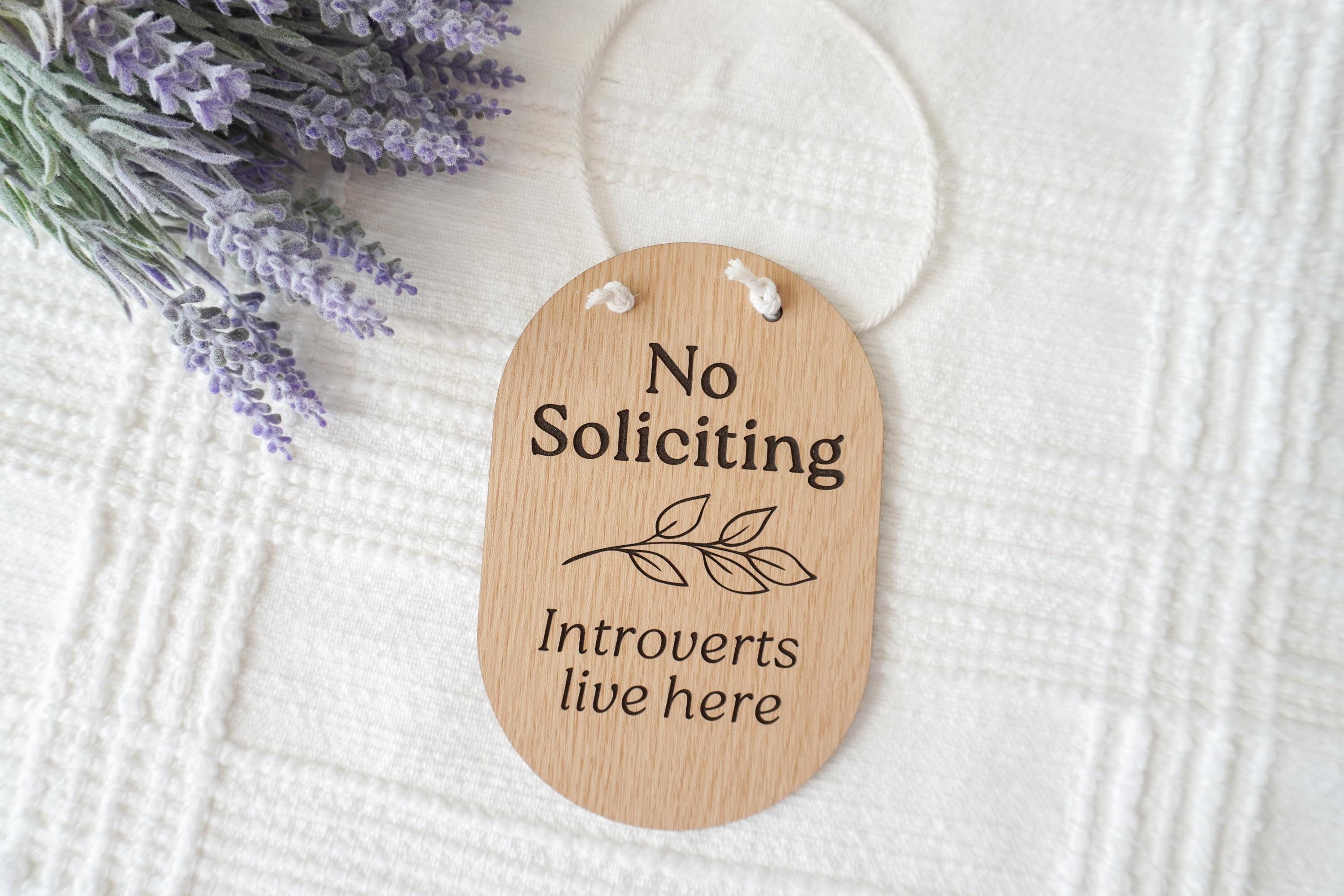 No Soliciting Sign for Front Door, Do Not Knock Baby Sleeping Sign, Dog Warning Door Sign, Modern Outdoor Entryway Decor, Funny door sign