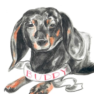 Custom Watercolor Pet Portrait