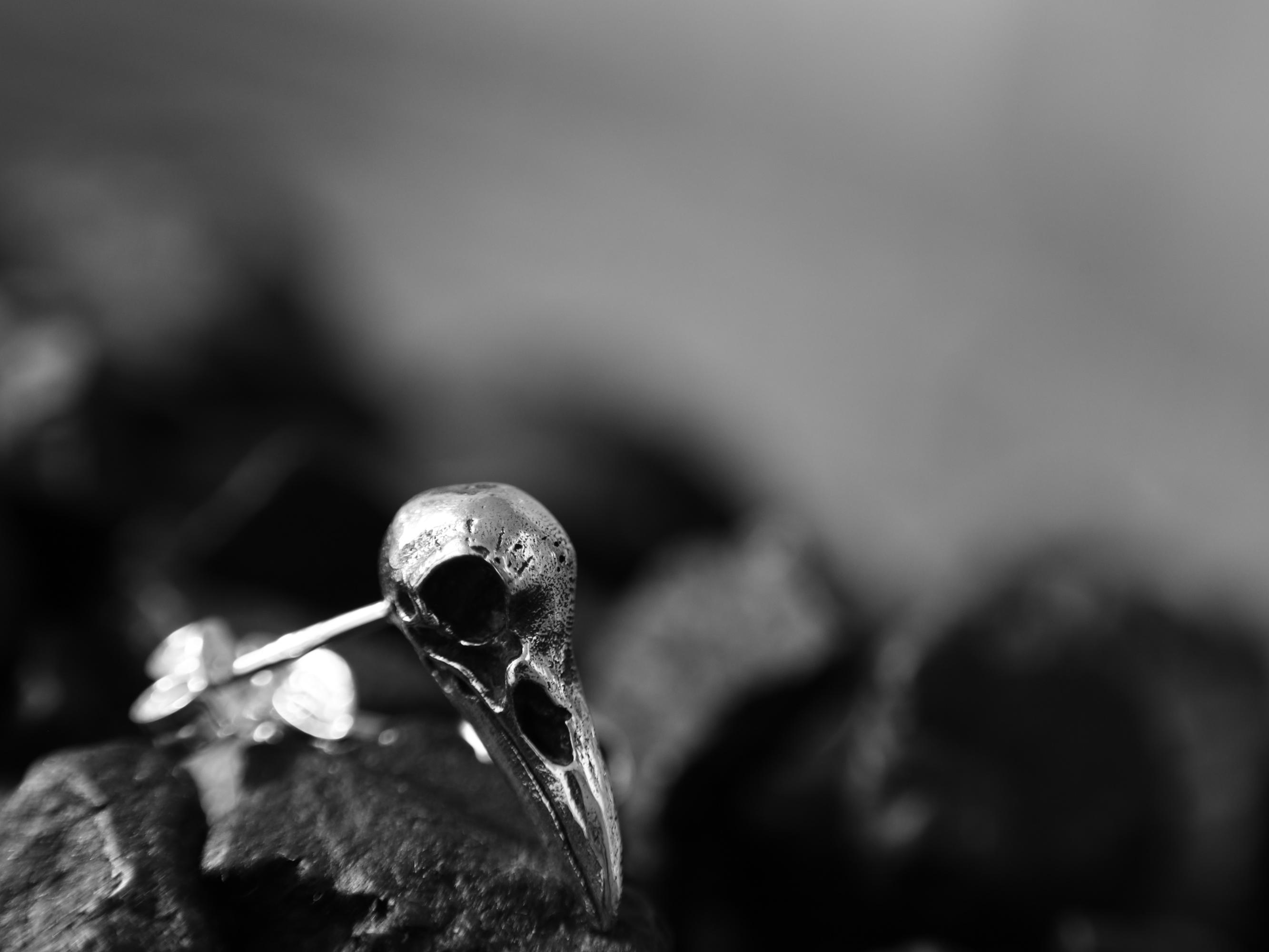 Orecchini a forma di teschio di corvo, orecchini in argento da