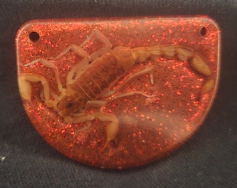 May include: A preserved scorpion encased in clear resin with red glitter. The scorpion is a light brown color and is positioned on its back with its legs and tail curled up.