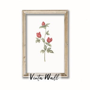 Flower Print Floral Vintage Art Red Botanical Printable Home Wall Decor Farmhouse Country Kitchen Neutral Muted Colours Antique Green Light
