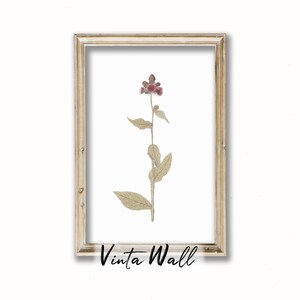 Flower Print Floral Vintage Art Red Botanical Printable Home Wall Decor Farmhouse Country Kitchen Neutral Muted Colours Antique Green Light