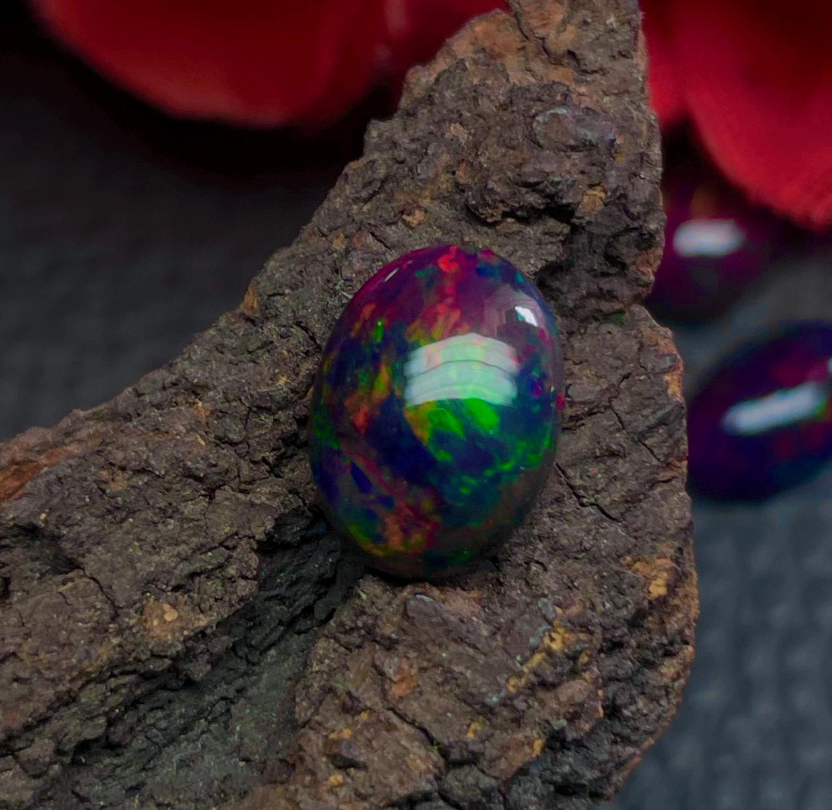 Cabochon Ovale En Opale Noire Naturelle D'Éthiopie - 12x8x4 Mm - 2.20 Carats - Neuf Avec étiquette